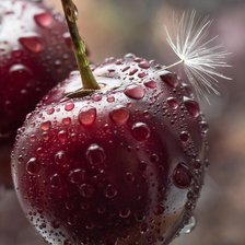 Cross stitch pattern: #2466321