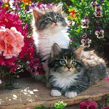 Cross stitch pattern: #2466891