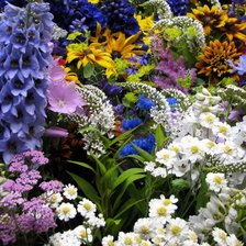 Cross stitch pattern: #2466900