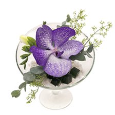 Cross stitch pattern: #2469066