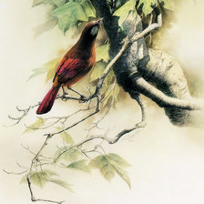 Cross stitch pattern: #2471148