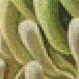 Preview of cross stitch pattern: #2471584