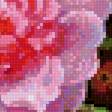 Preview of cross stitch pattern: #2472673