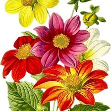 Cross stitch pattern: #2475080