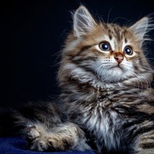 Cross stitch pattern: #2475278