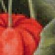 Preview of cross stitch pattern: #2478908