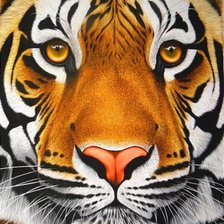 Cross stitch pattern: #2484042