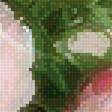 Preview of cross stitch pattern: #2484222