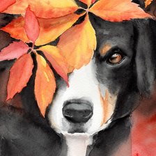 Cross stitch pattern: #2484417