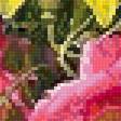 Preview of cross stitch pattern: #2485561