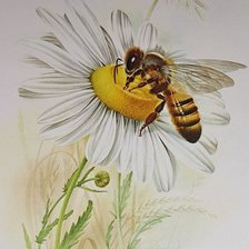 Cross stitch pattern: #2490528