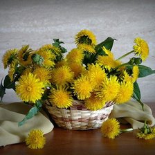 Cross stitch pattern: #2490530