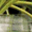 Preview of cross stitch pattern: #2491929