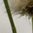 Preview of cross stitch pattern: #2492848