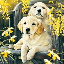 Cross stitch pattern: #2494306