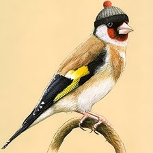 Cross stitch pattern: #2496820