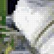 Preview of cross stitch pattern: #2498042