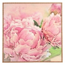 Cross stitch pattern: #2499430