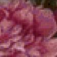 Preview of cross stitch pattern: #2501467