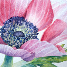Cross stitch pattern: #2502190