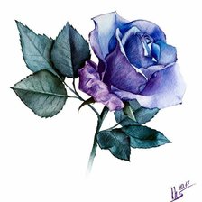 Cross stitch pattern: #2502201