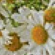 Preview of cross stitch pattern: #2503081