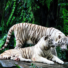 Cross stitch pattern: #2505250