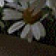 Preview of cross stitch pattern: #2507758