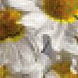 Preview of cross stitch pattern: #2507764