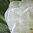 Preview of cross stitch pattern: #2508330