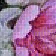 Preview of cross stitch pattern: #2514474