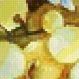 Preview of cross stitch pattern: #2514922