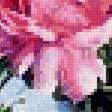 Preview of cross stitch pattern: #2516676