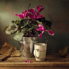 Cross stitch pattern: #2517028