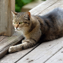 Cross stitch pattern: #2517089