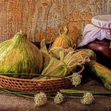 Cross stitch pattern: #2517464