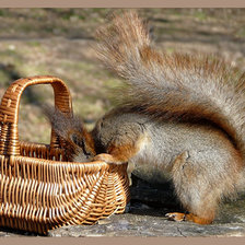 Cross stitch pattern: #2518458