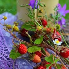 Cross stitch pattern: #2519759