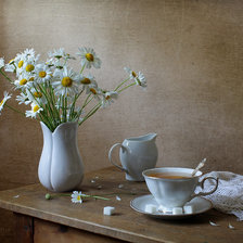 Cross stitch pattern: #2519968