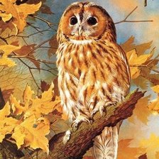 Cross stitch pattern: #2520941