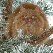 Cross stitch pattern: #2521162