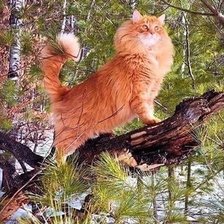 Cross stitch pattern: #2521164