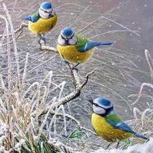 Cross stitch pattern: #2521166