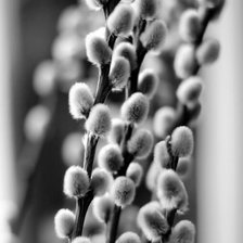 Cross stitch pattern: #2521201