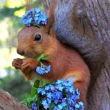 Cross stitch pattern: #2521467