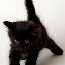 Cross stitch pattern: #2521505