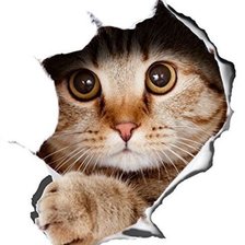 Cross stitch pattern: #2521509