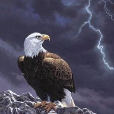 Cross stitch pattern: #2521511