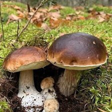 Cross stitch pattern: #2521521