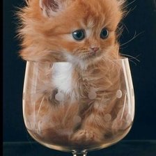 Cross stitch pattern: #2521525